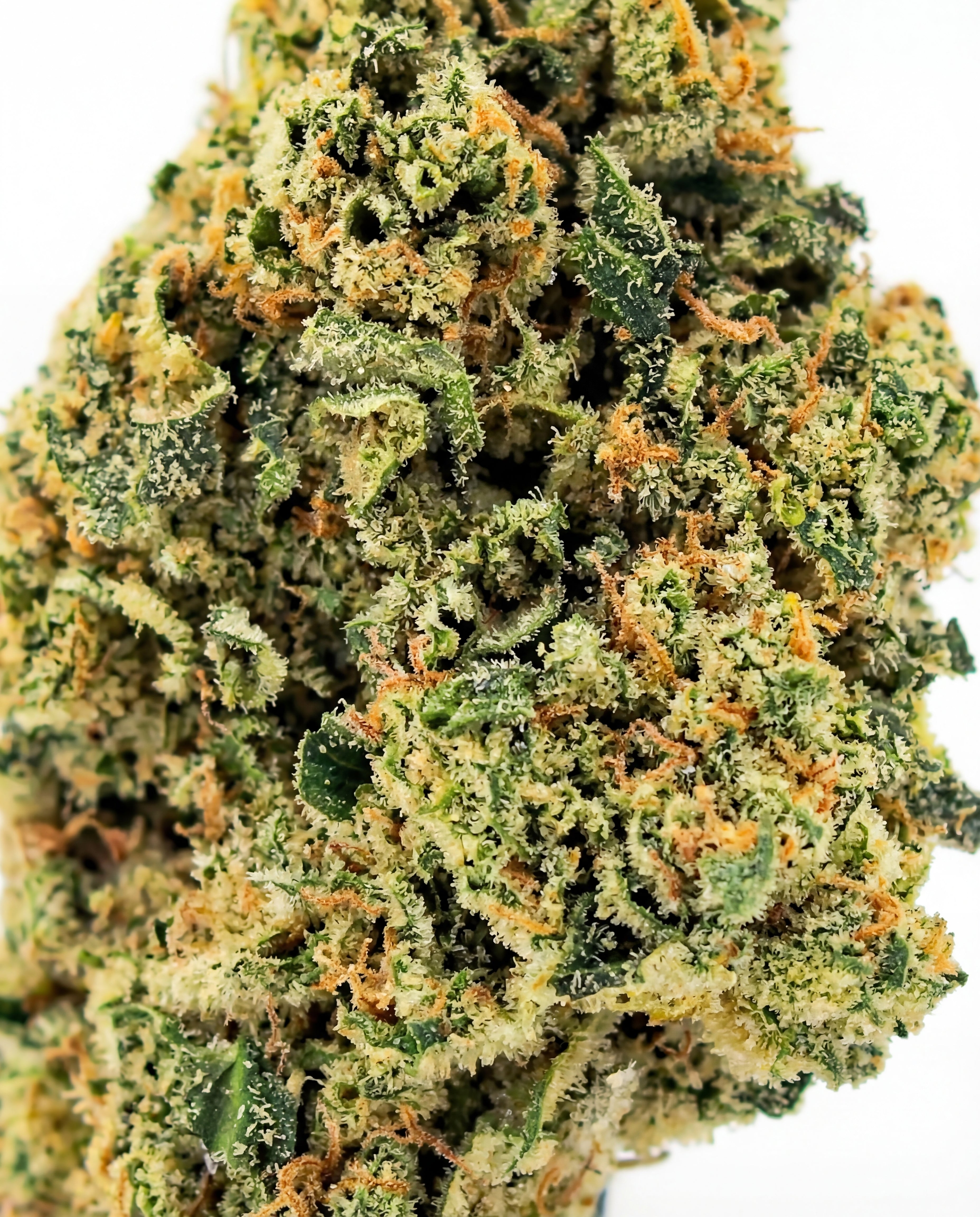 Lemon Cherry Gelato CBD Flower