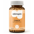 Chaga Mushroom