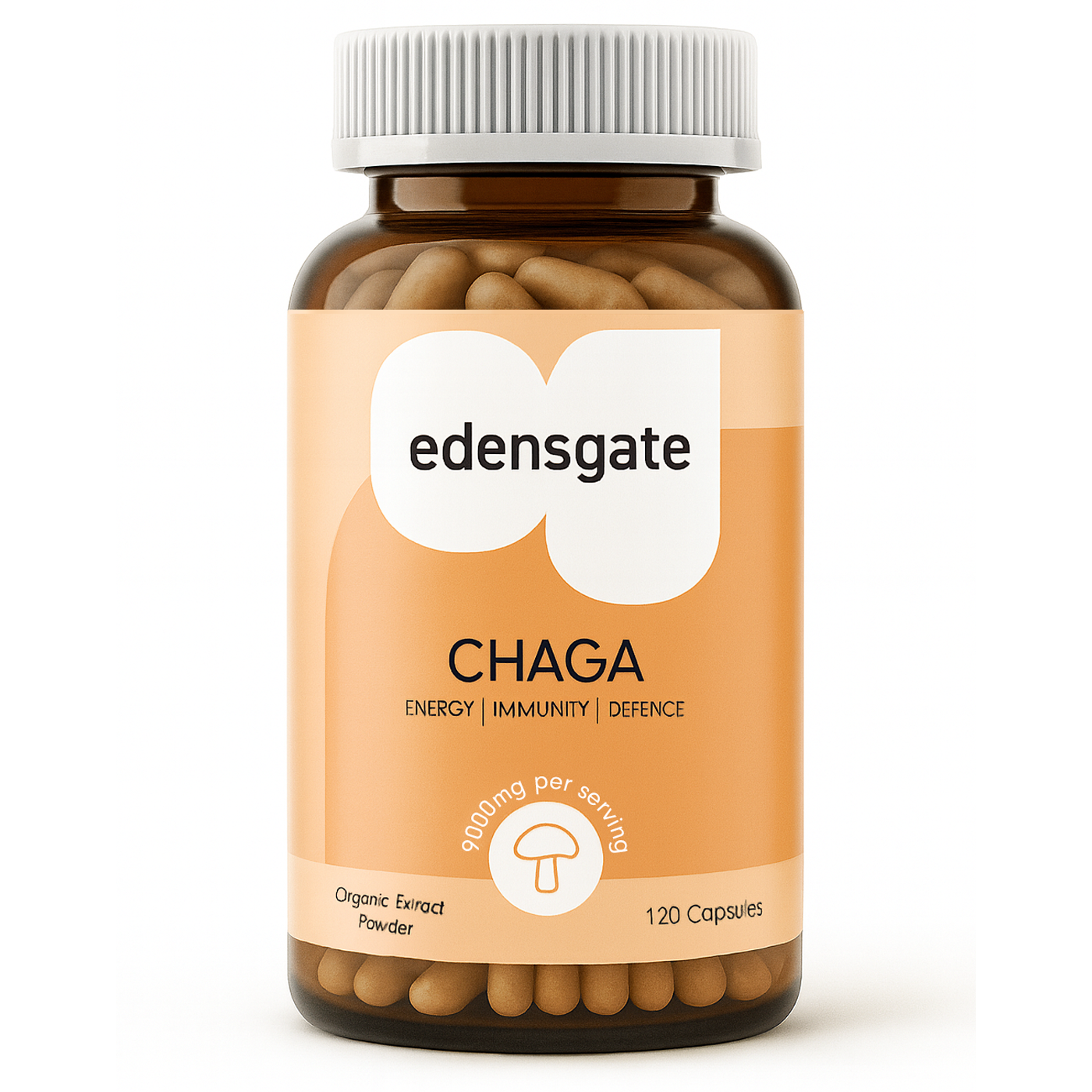 Chaga Mushroom