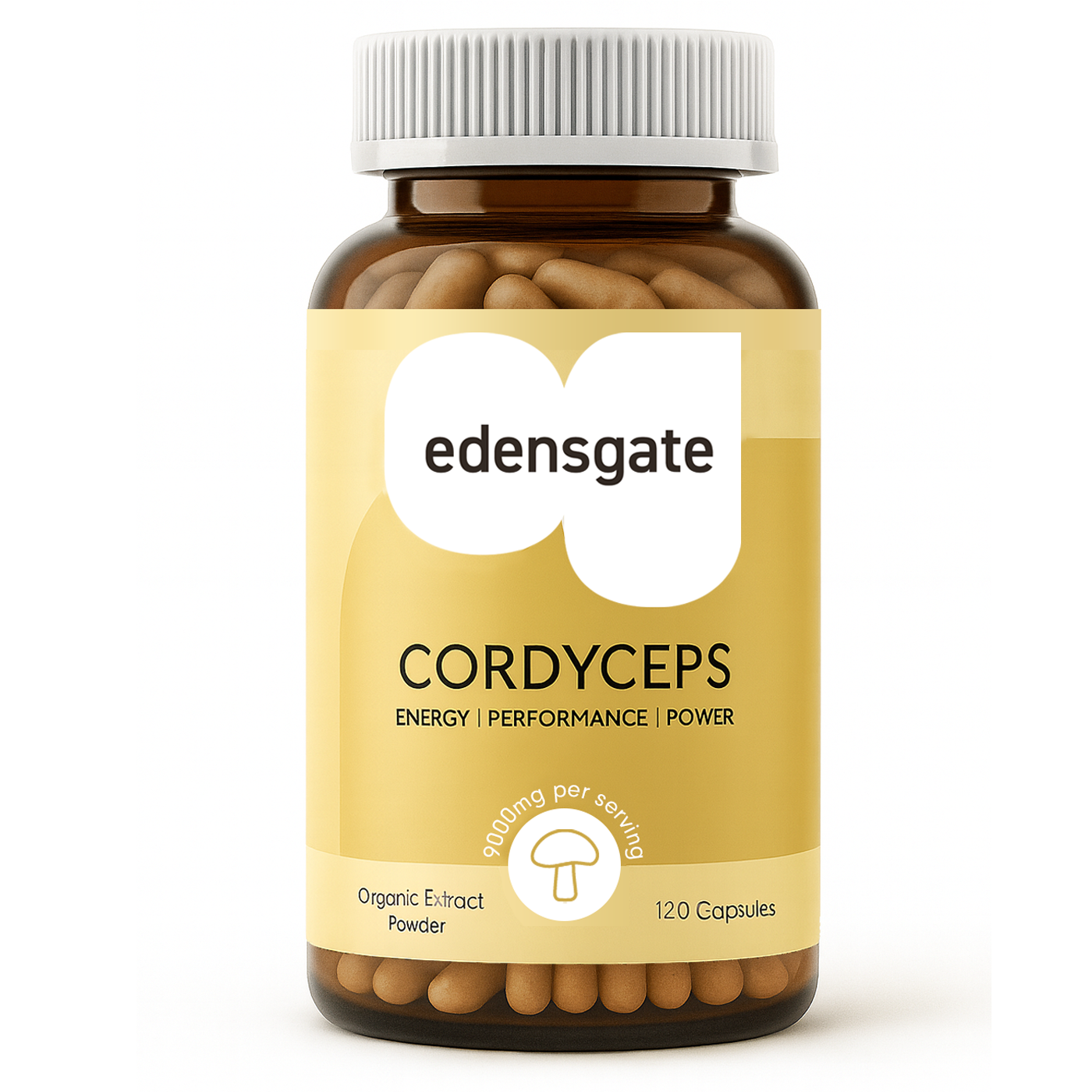 Cordyceps Mushroom