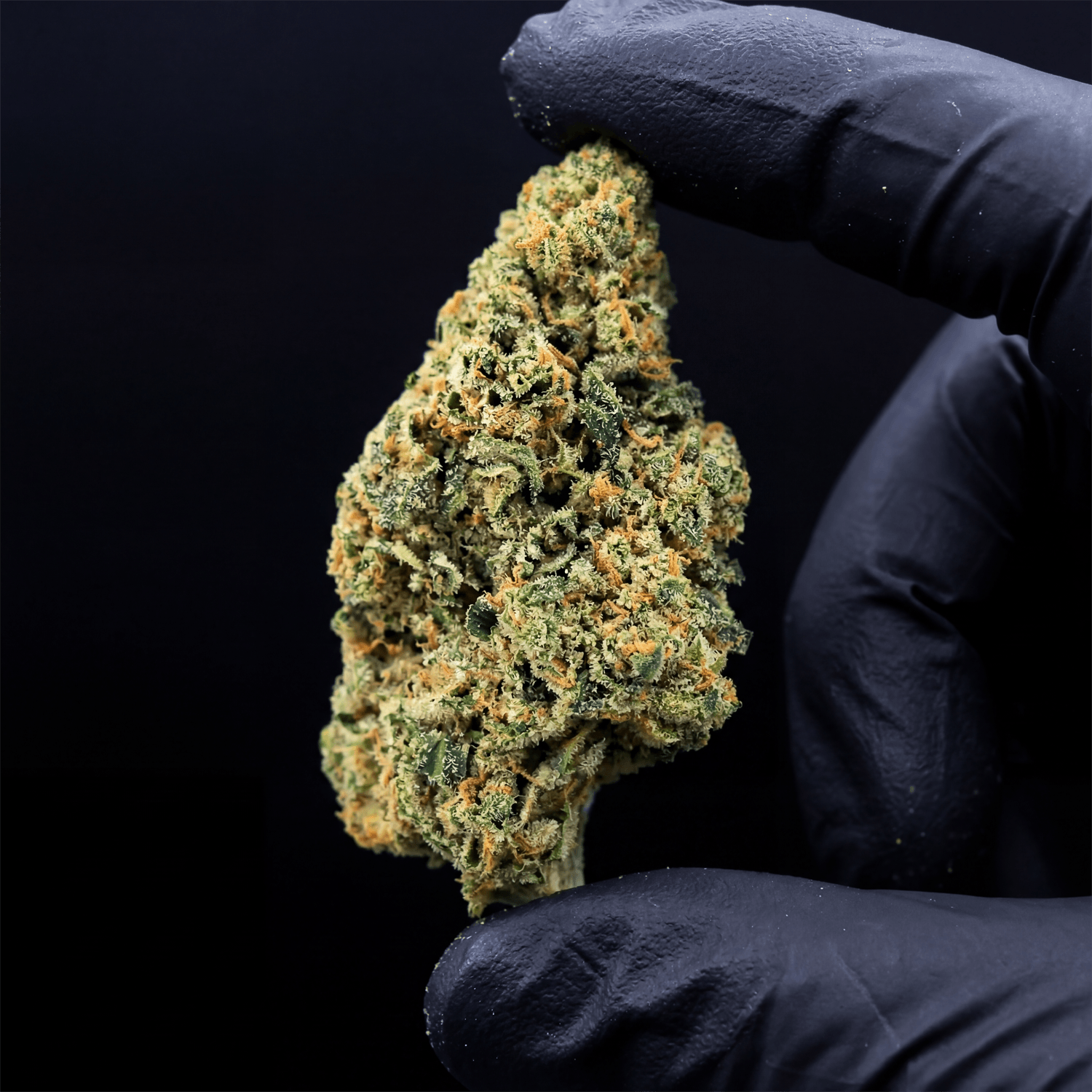 Lemon Cherry Gelato CBD Flower