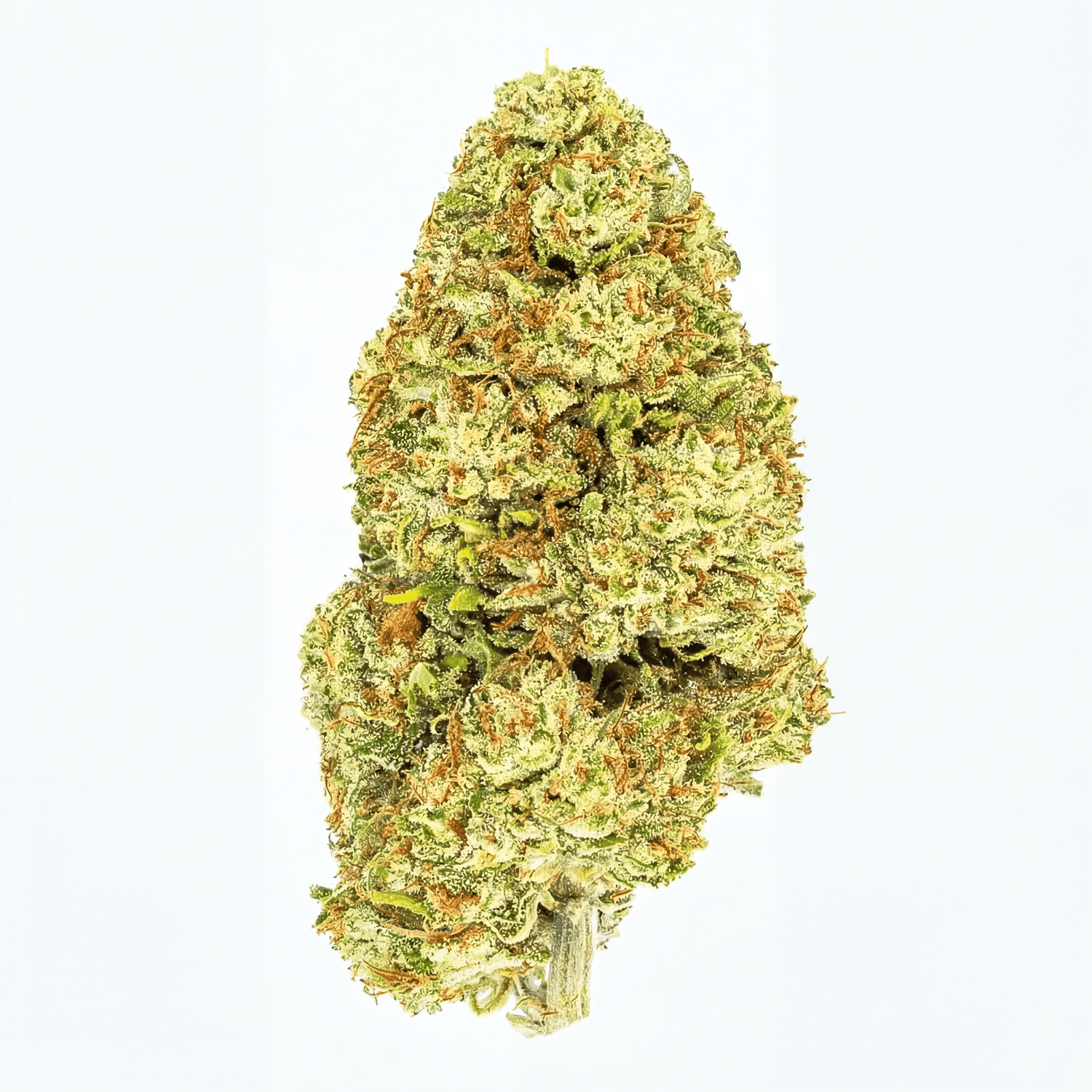 Blueberry blizard CBD Flower