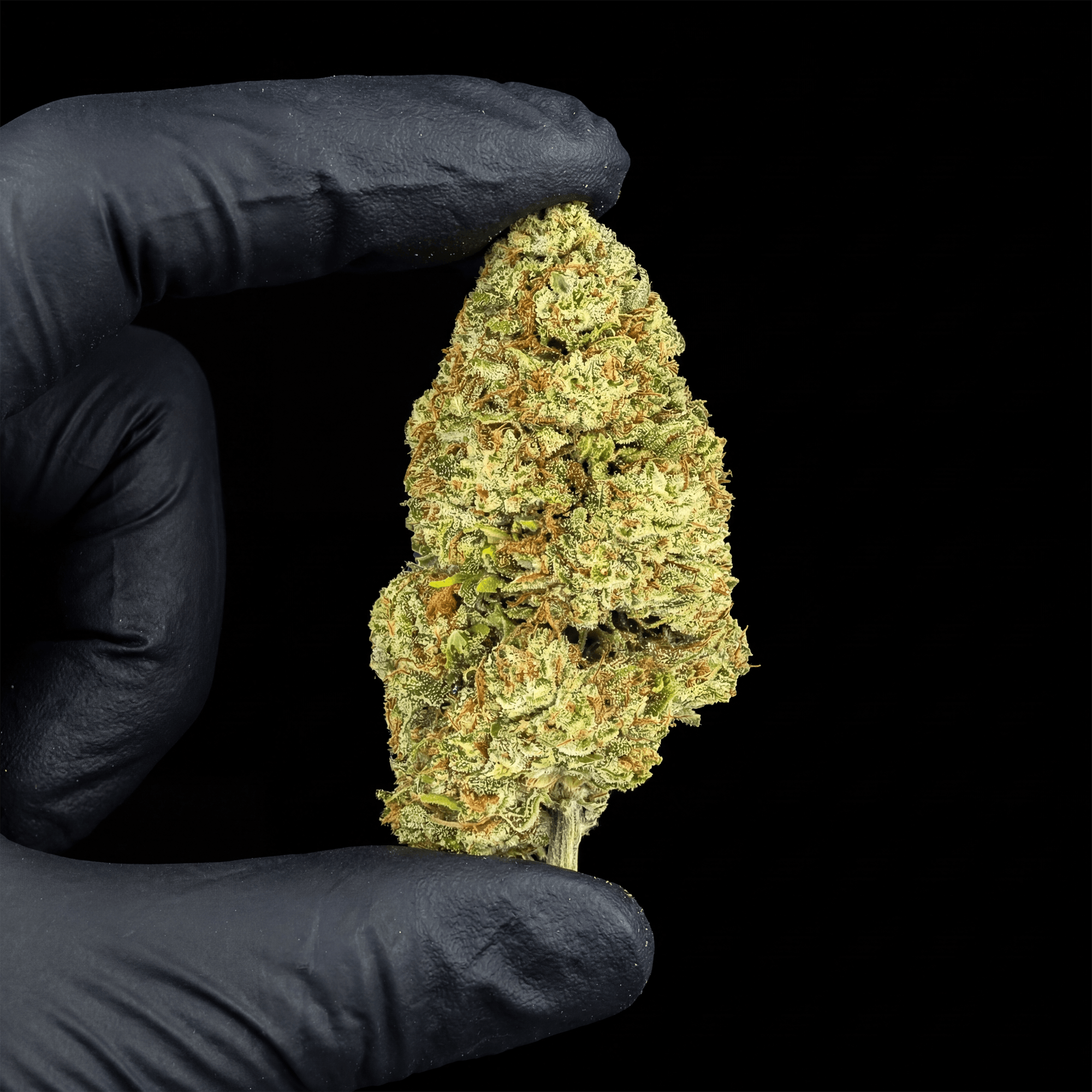 Blueberry blizard CBD Flower