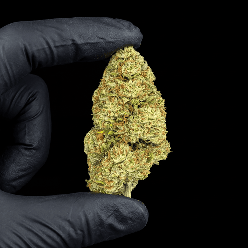 Blueberry blizard CBD Flower