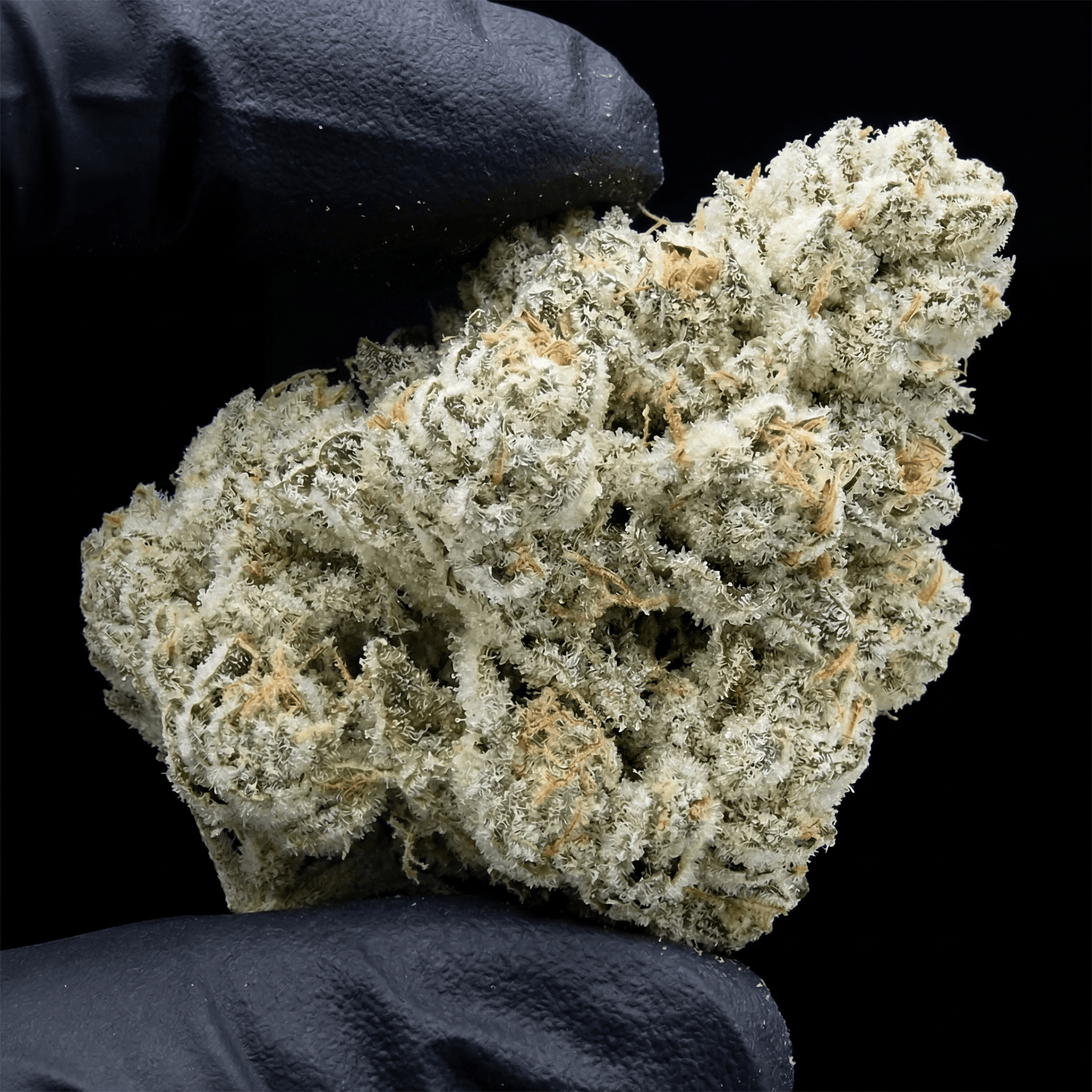 Icescotti Platinum CBD Flower