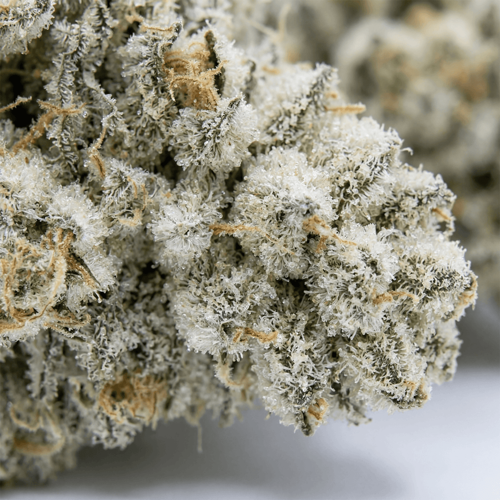 Icescotti Platinum CBD Flower