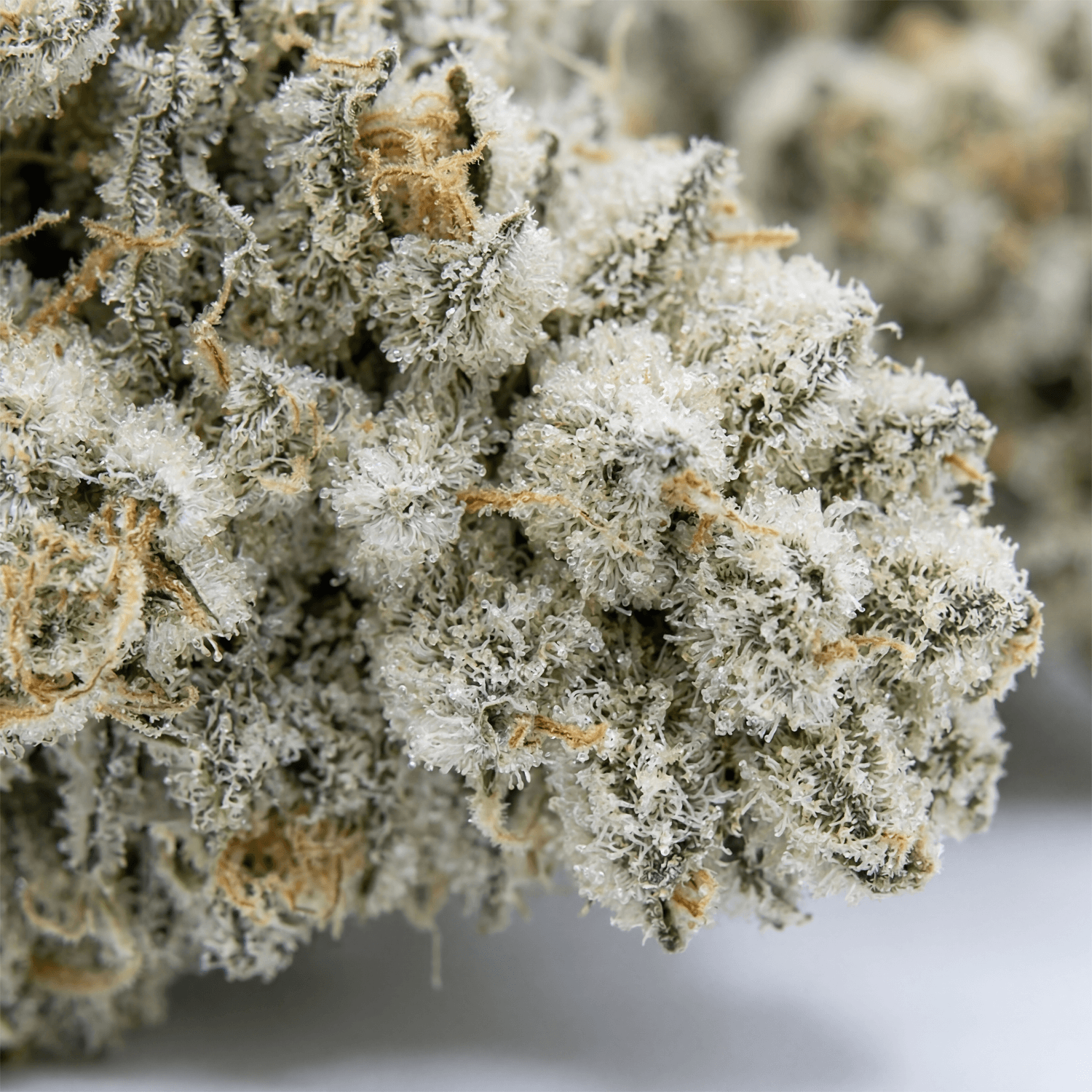 Icescotti Platinum CBD Flower