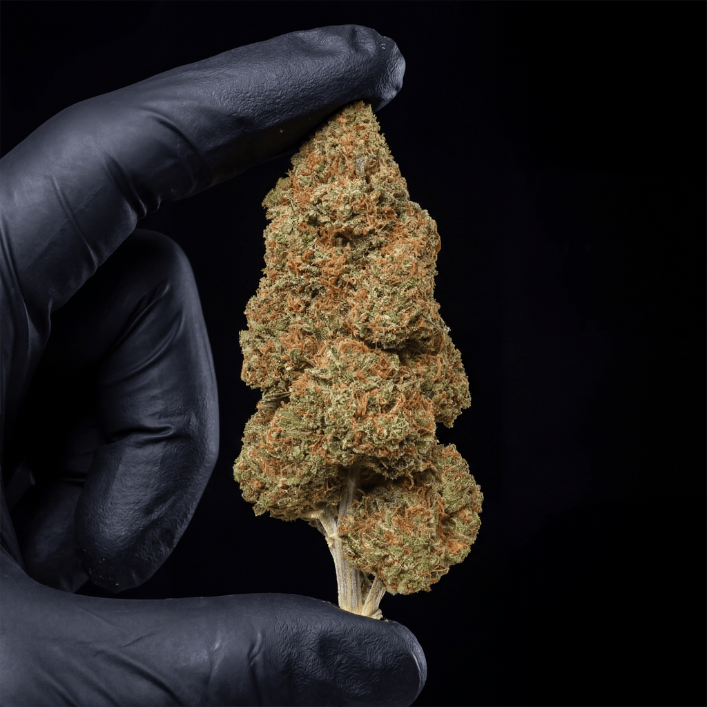 Sour Apple Diesel CBD Flower