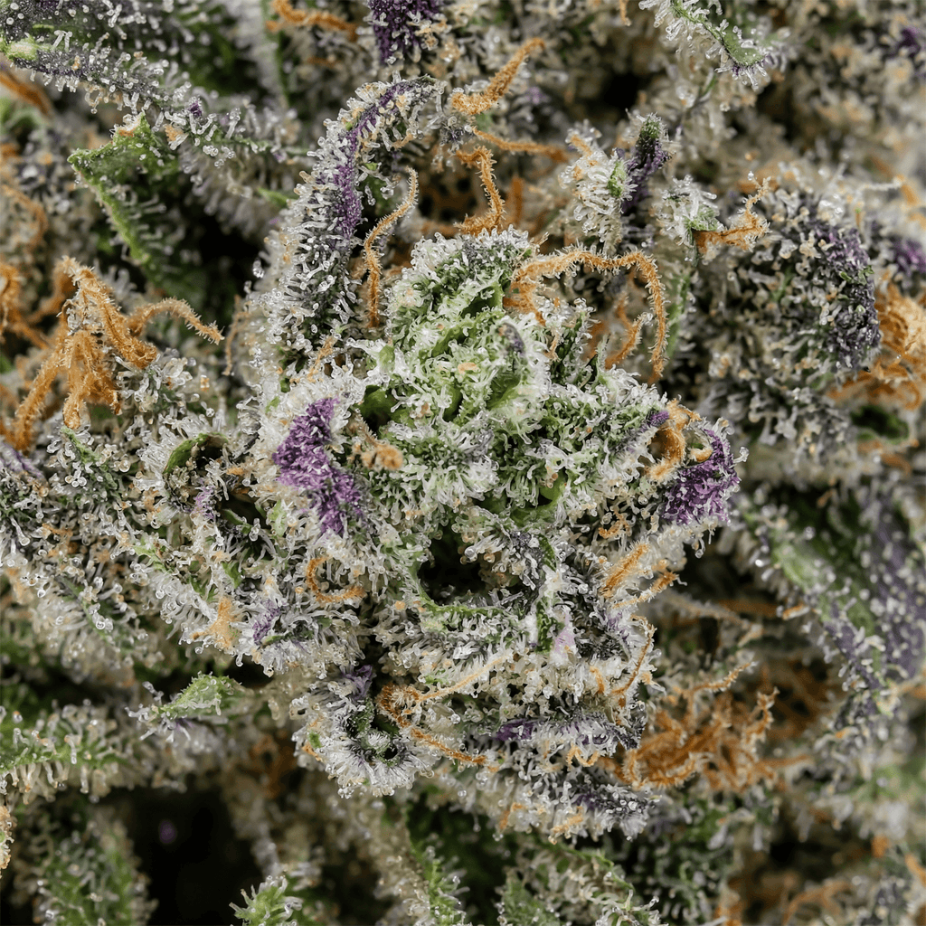 Strawberry Icecake CBD Flower